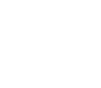 Cougar Lighting