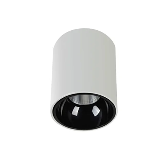 Surface downlight Gold Cylinder ZTUBE-10.95.CCT.WHB LED 10W