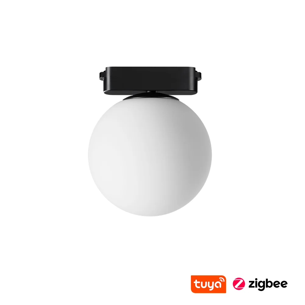 Track Opal Ball Z5055-6.OP.CCT.BK 24V 6W WIFI